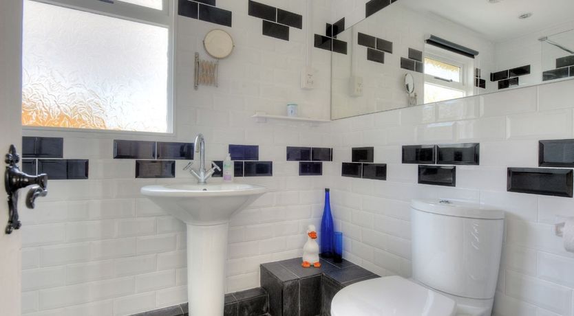 Photo of Dolphins Leap