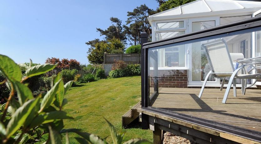 Photo of Dolphins Leap