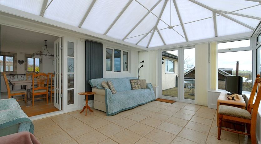 Photo of Dolphins Leap