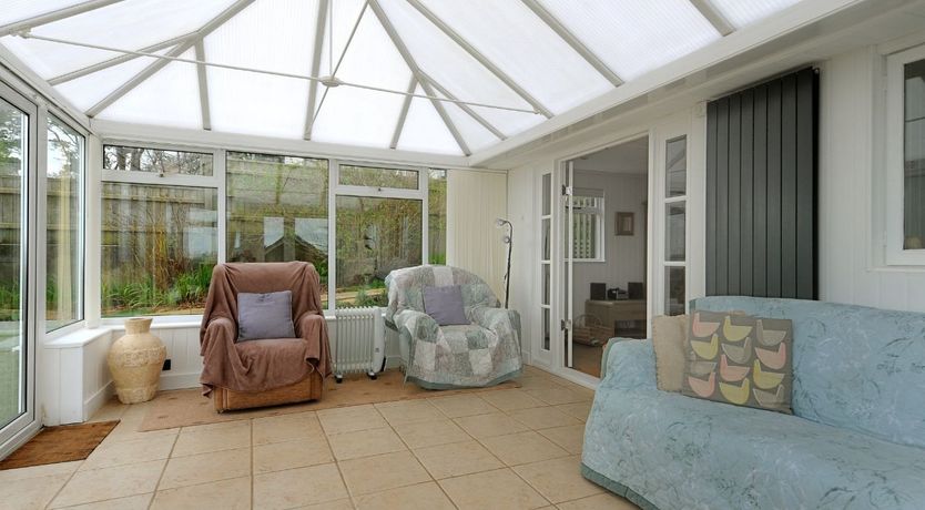 Photo of Dolphins Leap