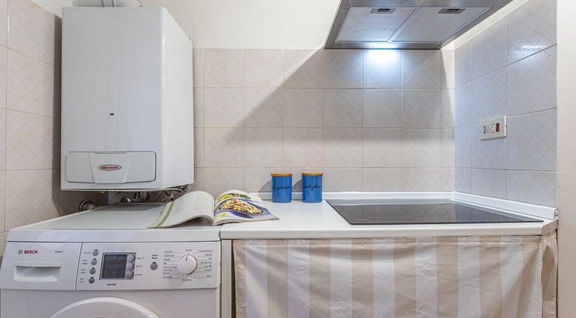 Photo of Golden Lion