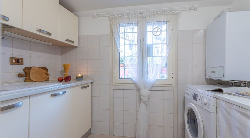 Photo of Golden Lion