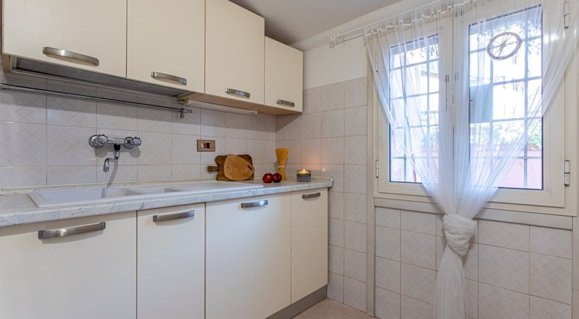 Photo of Golden Lion