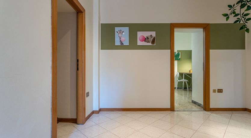 Photo of Golden Lion