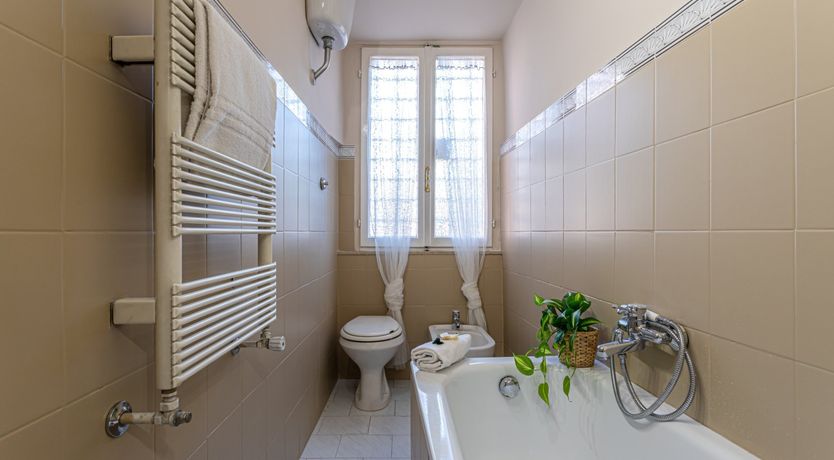 Photo of Golden Lion