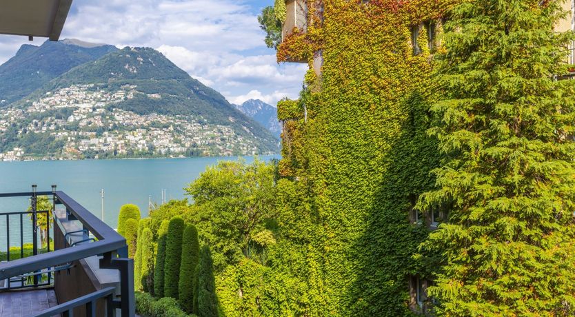 Photo of Paradiso Found