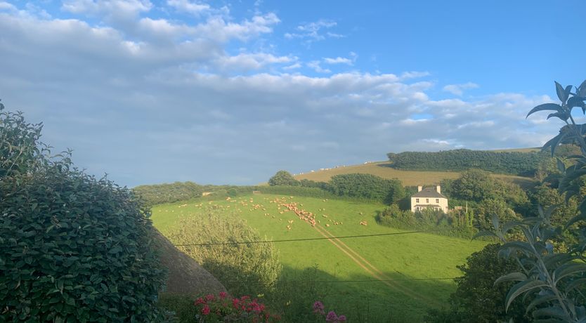 Photo of Potted Shrimp