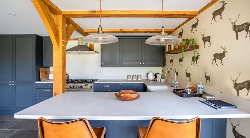 Photo of Forgotten Fields