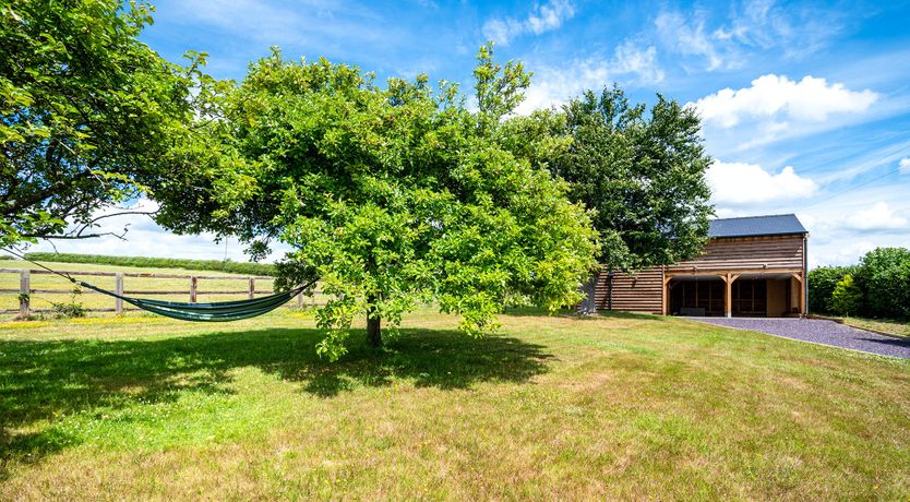 Photo of Forgotten Fields