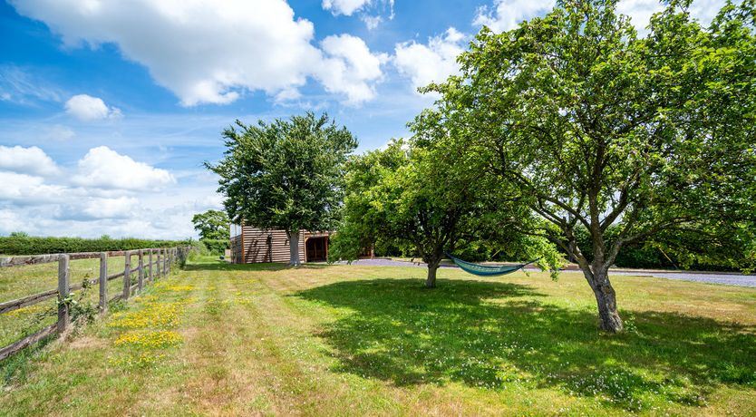 Photo of Forgotten Fields