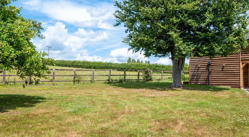 Photo of Forgotten Fields