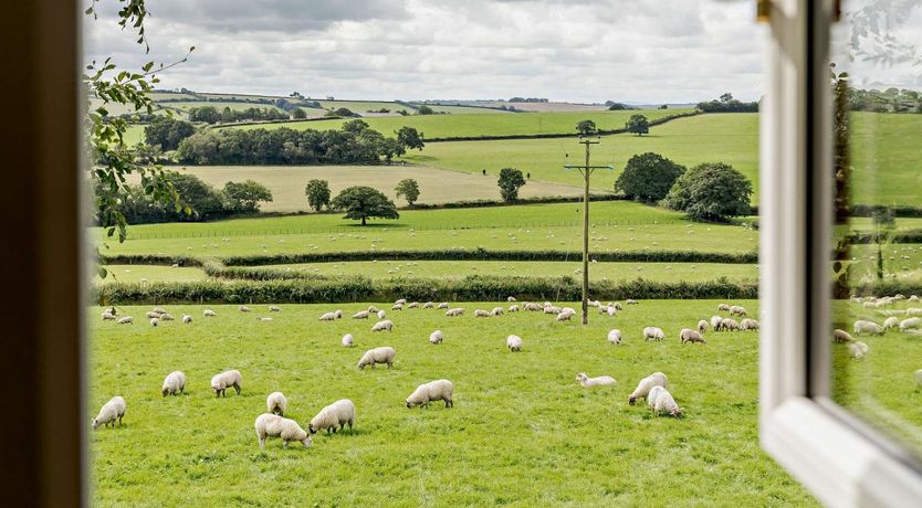 Photo of 2 Bed in South Molton