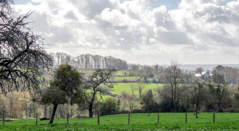 Photo of Les écuries de Callenville