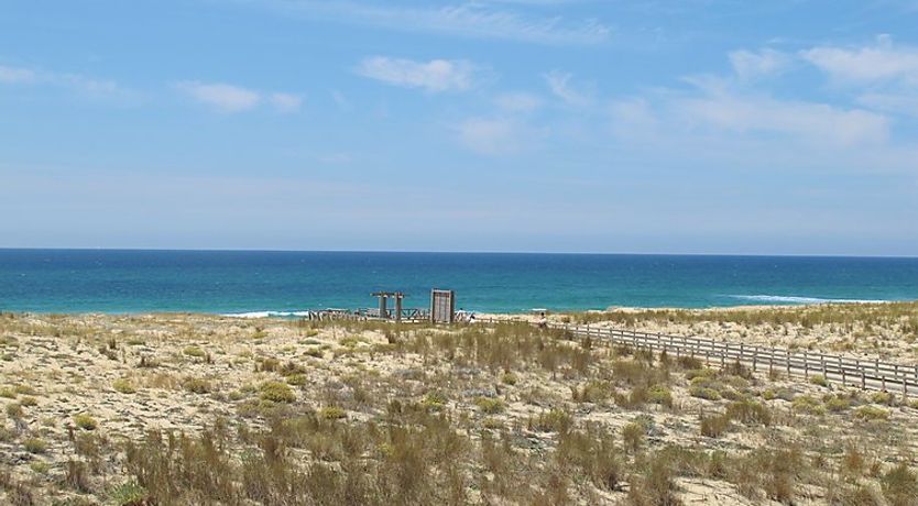 Photo of Capama Apartment 2