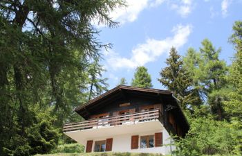 Chalet Soldanella (BEL205) Holiday Home