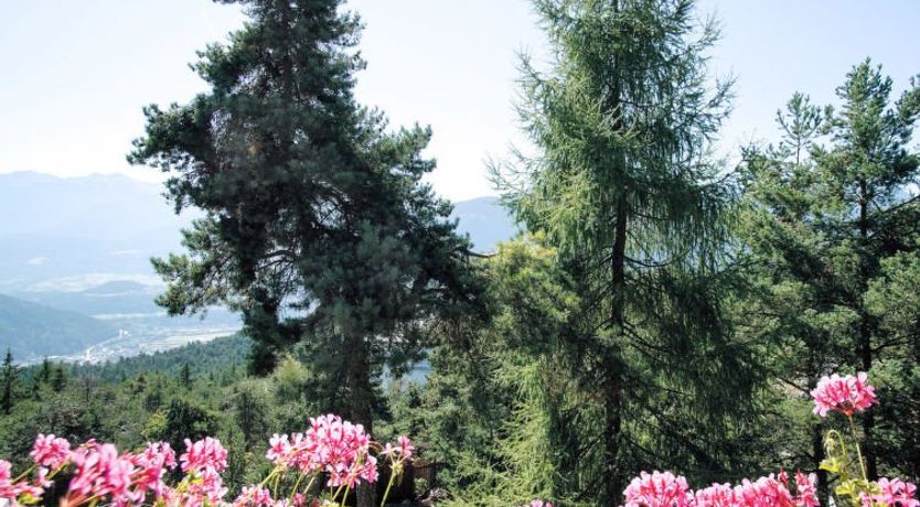 Photo of Solea Holiday Home 2