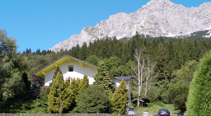 Photo of Viola