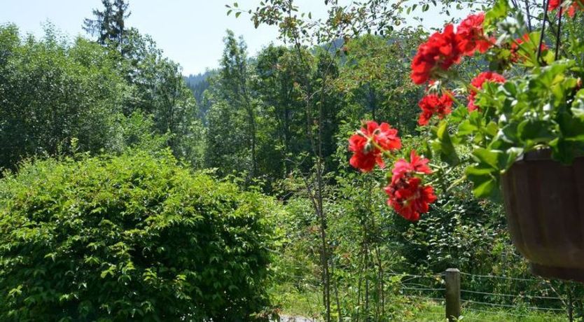 Photo of Abnaki, Chalet