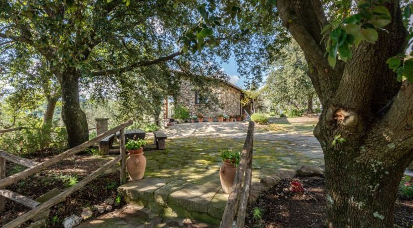 Photo of Fonte al Tesoro