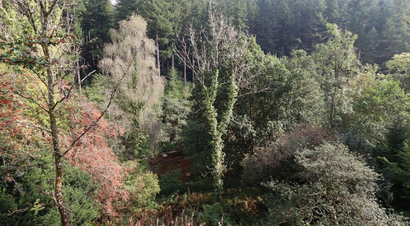 Photo of Bryn Cemlyn