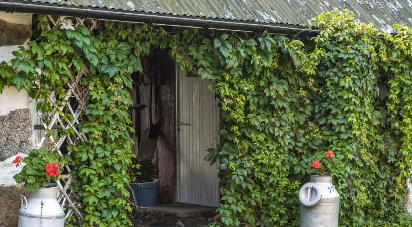 Photo of Västra Näs