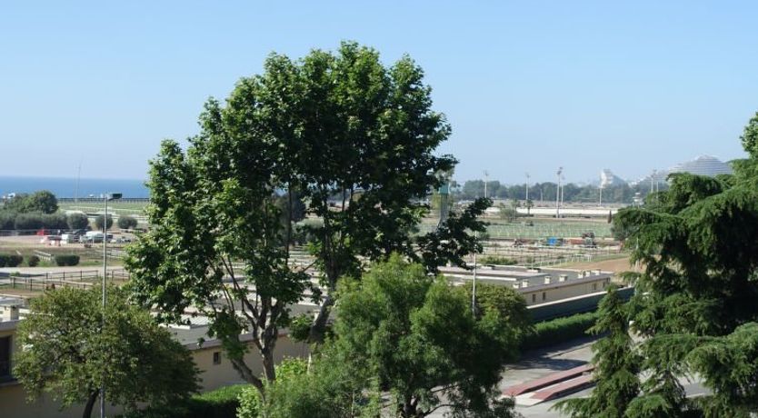 Photo of bel horizon