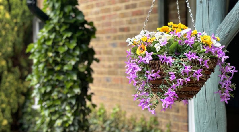 Photo of Ash Cottage Cottage 6