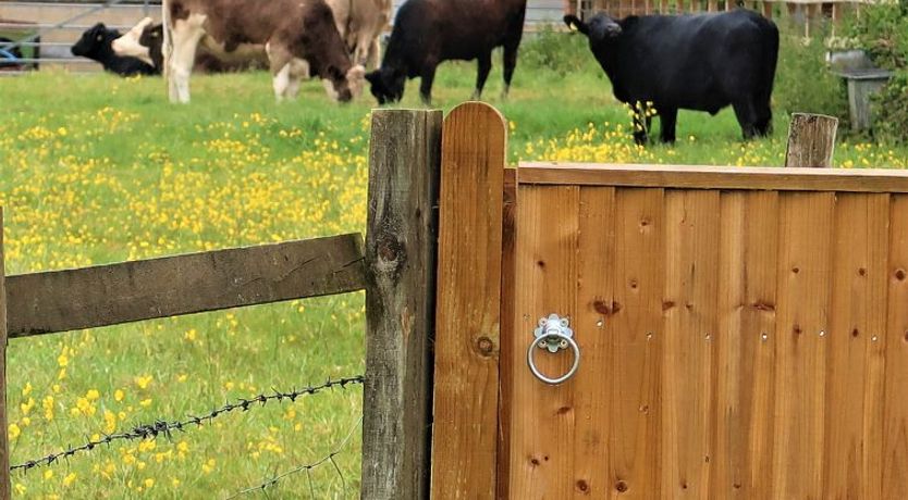 Photo of Ash Cottage Cottage 6