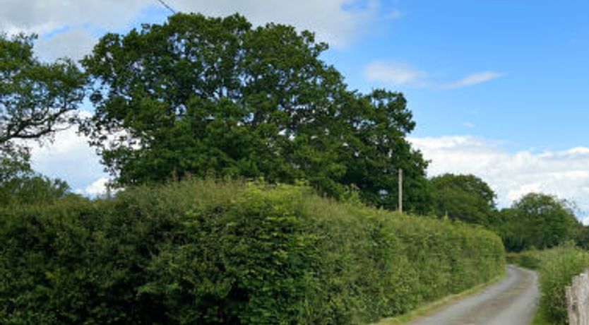 Photo of Ash Cottage Cottage 6