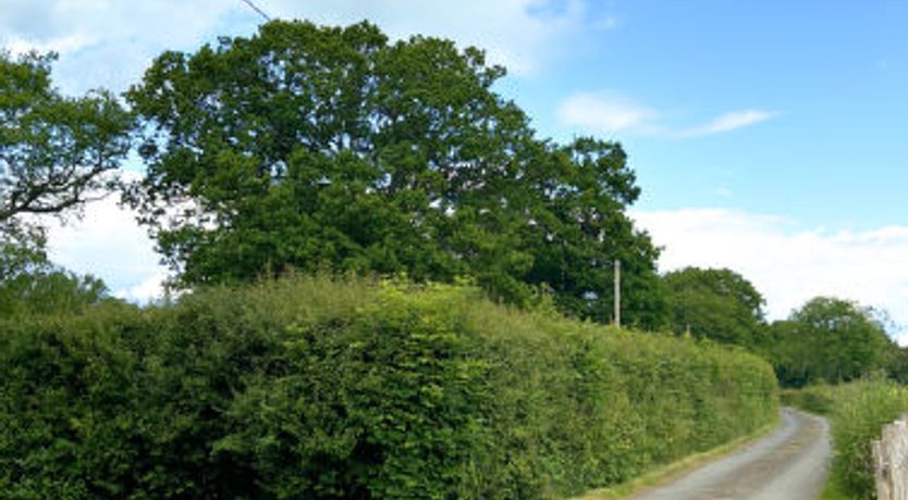 Photo of Fir Cottage Cottage 4