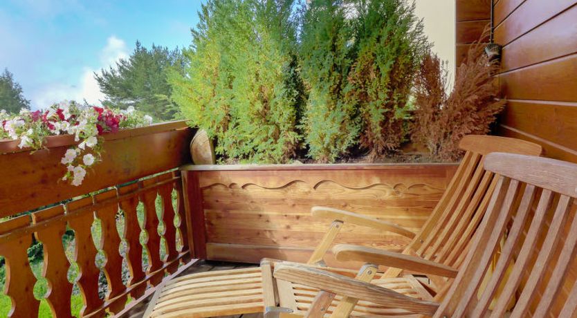 Photo of Soldanella 2