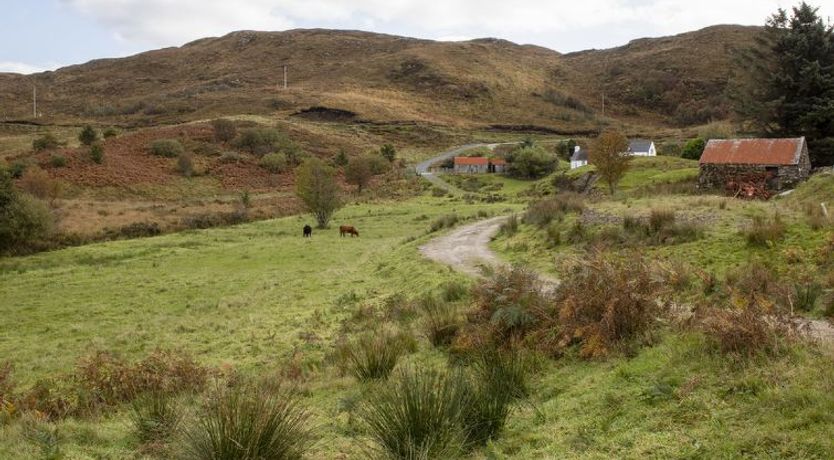 Photo of Joan's House