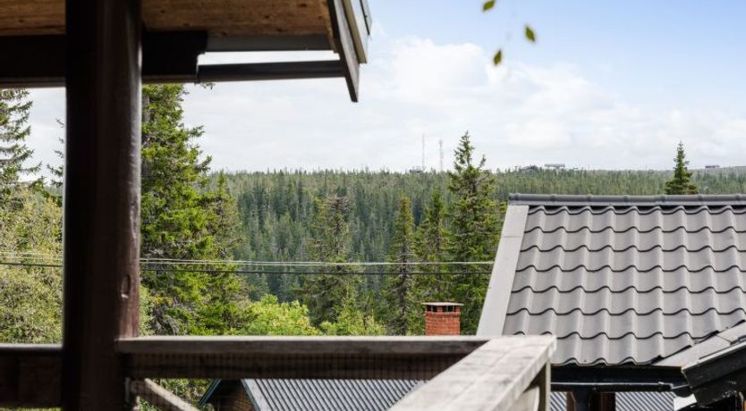 Photo of Korpstigen Renen