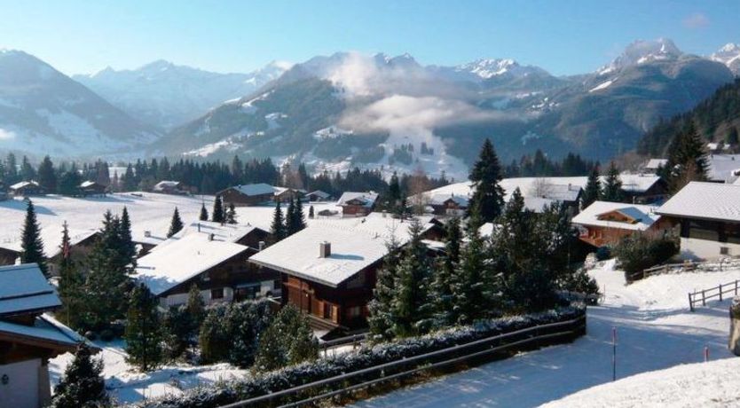 Photo of Kitty (Parterre)