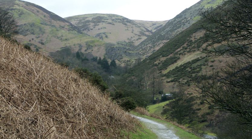 Photo of Shepherds Cottage