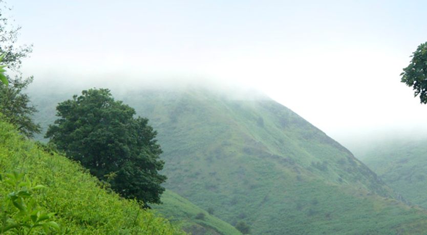 Photo of Shepherds Cottage