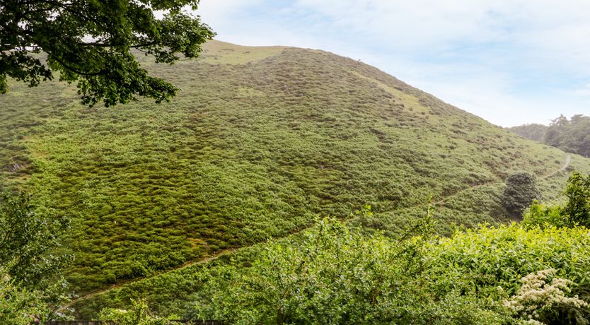 Photo of Shepherds Cottage