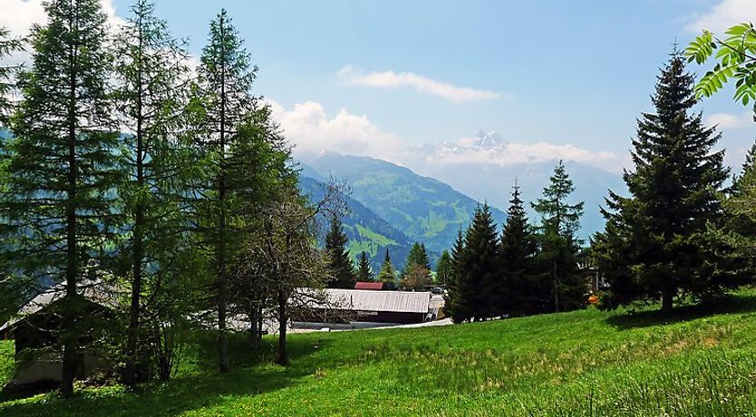 Photo of Les Beluardes Bl. 151/2