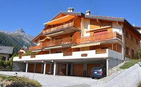 Photo of Caroubier 2