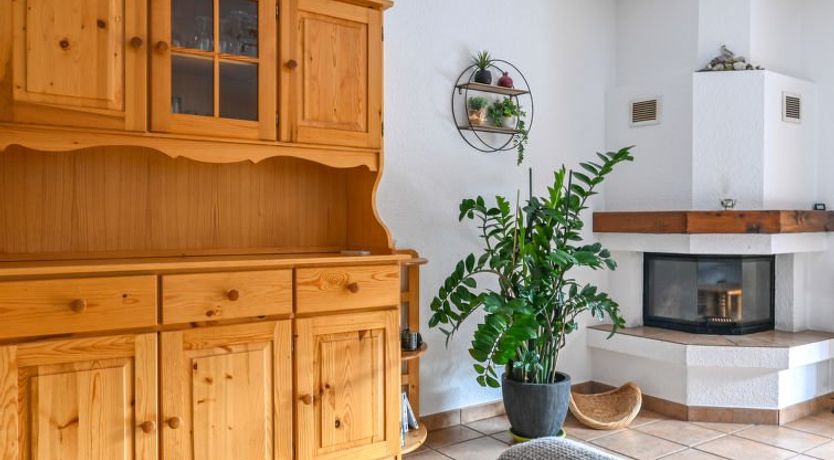 Photo of Caroubier 2