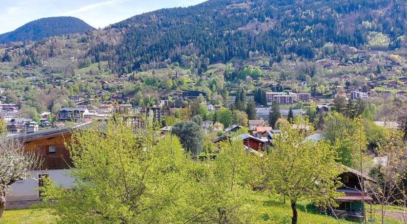 Photo of Les erables