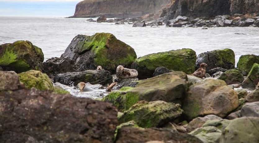 Photo of Honey Bee Cottage