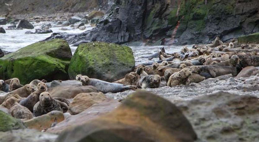 Photo of Honey Bee Cottage