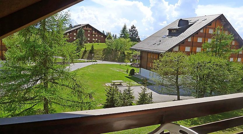 Photo of Grenat 35 Apartment 3