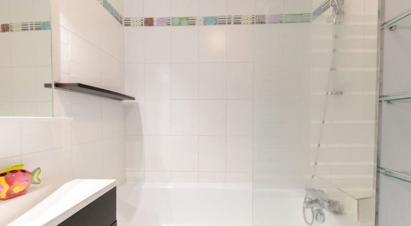 Photo of Soldanelles 413 B