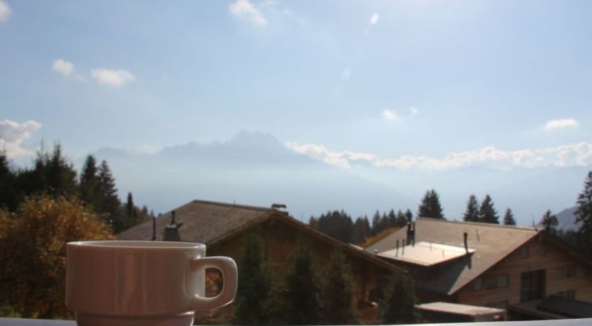 Photo of Le Bouquetin 5 Apartment 2