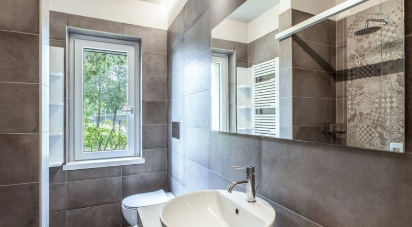 Photo of Iris e Girasole