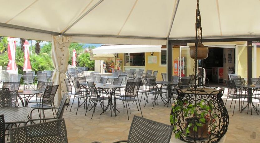 Photo of Iris e Girasole