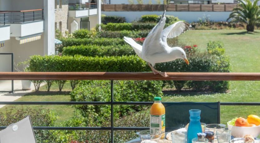 Photo of R&eacute;sidence Parc Saint-Cl&eacute;ment Apartment 3