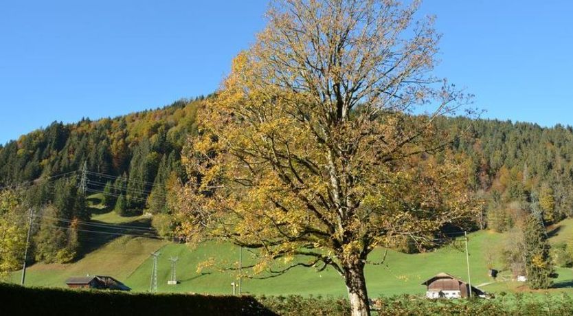 Photo of Oberland Nr. 3